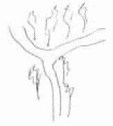 Покажи мне свою сумочку – и я скажу, кто ты. 32 фокуса визуальной психодиагностики Покажи мне свою сумочку – и я скажу, кто ты. 32 фокуса визуальной психодиагностики