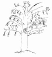 Покажи мне свою сумочку – и я скажу, кто ты. 32 фокуса визуальной психодиагностики