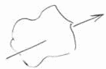 Покажи мне свою сумочку – и я скажу, кто ты. 32 фокуса визуальной психодиагностики