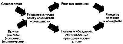 Социальная психология: Интенсивный курс Социальная психология: Интенсивный курс