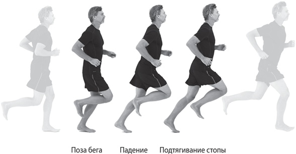 Бегайте быстрее, дольше и без травм Бегайте быстрее, дольше и без травм