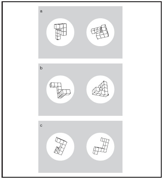 Мысленные образы. Когнитивный подход Мысленные образы. Когнитивный подход