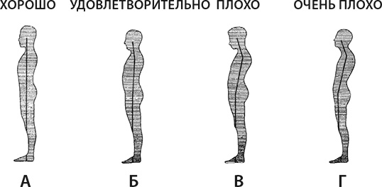 Здоровые стопы Здоровые стопы