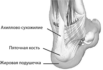 Здоровые стопы Здоровые стопы