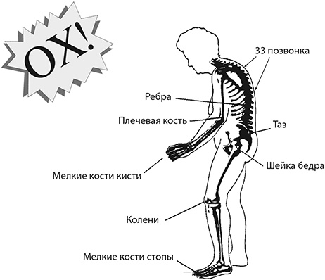 Здоровые стопы Здоровые стопы