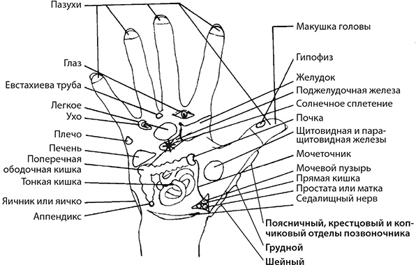 Здоровые стопы Здоровые стопы