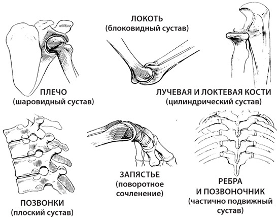 Чудо-вода Чудо-вода