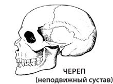 Чудо-вода Чудо-вода