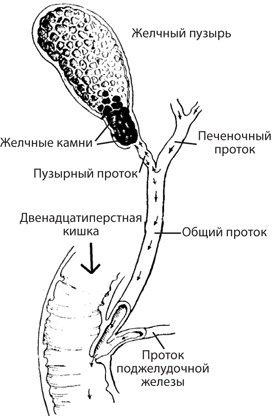 Чудо-вода Чудо-вода