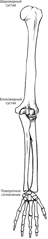 Чудо-вода Чудо-вода