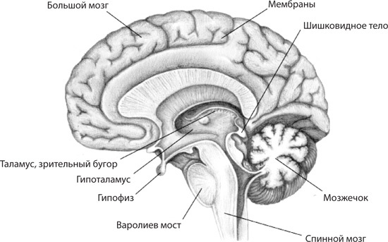 Чудо-вода Чудо-вода
