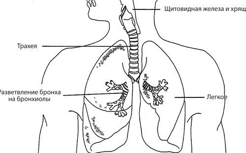Чудо-вода Чудо-вода
