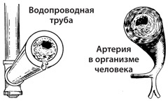 Чудо-вода Чудо-вода