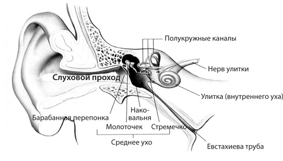 Чудо-вода Чудо-вода