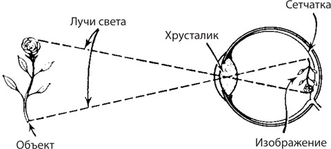 Чудо-вода Чудо-вода