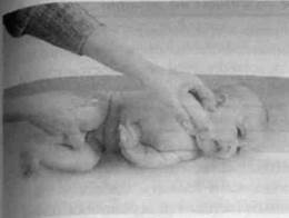 Infantia. Учебник первого года. Игры и упражнения для самых маленьких Infantia. Учебник первого года. Игры и упражнения для самых маленьких