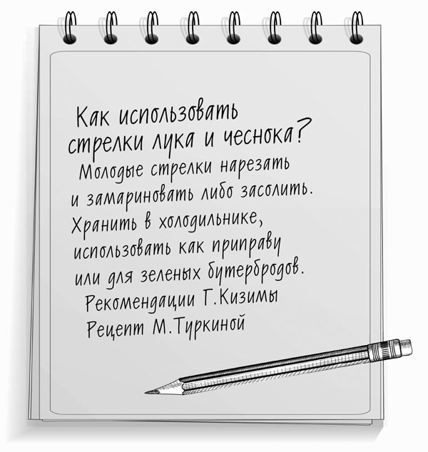 Консервирование для лентяек. Вкусные и надежные заготовки по-быстрому Консервирование для лентяек. Вкусные и надежные заготовки по-быстрому