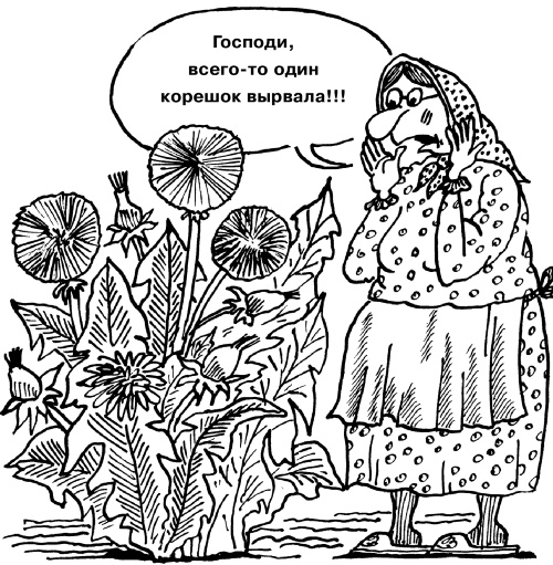 Большая книга огородника и садовода. Все секреты плодородия Большая книга огородника и садовода. Все секреты плодородия