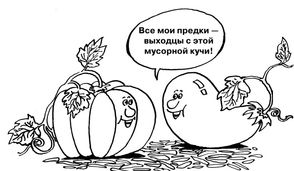 Большая книга огородника и садовода. Все секреты плодородия Большая книга огородника и садовода. Все секреты плодородия