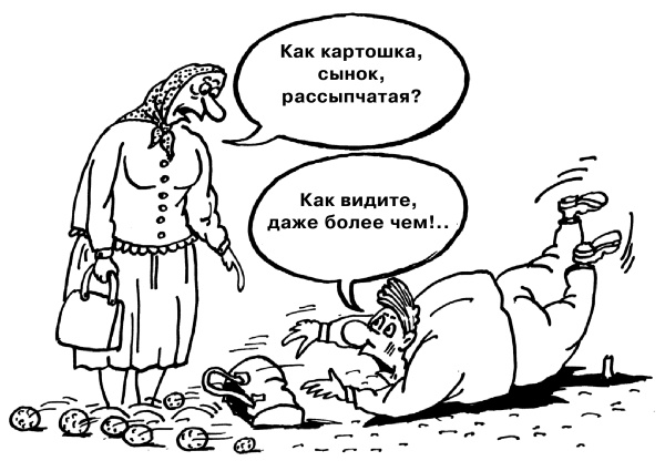 Большая книга огородника и садовода. Все секреты плодородия Большая книга огородника и садовода. Все секреты плодородия
