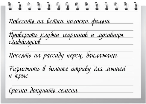Сад и огород для тех, кому за… без лишних усилий Сад и огород для тех, кому за… без лишних усилий