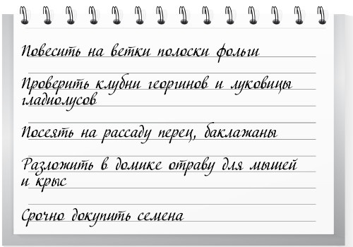 Сад и огород для тех, кому за… без лишних усилий Сад и огород для тех, кому за… без лишних усилий