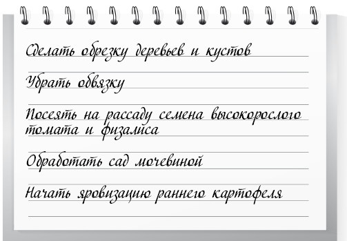 Сад и огород для тех, кому за… без лишних усилий Сад и огород для тех, кому за… без лишних усилий