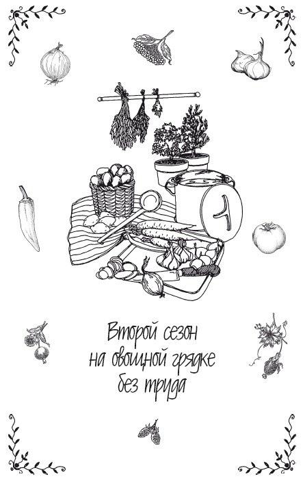 Урожай без хлопот. Сад, цветник и огород Урожай без хлопот. Сад, цветник и огород