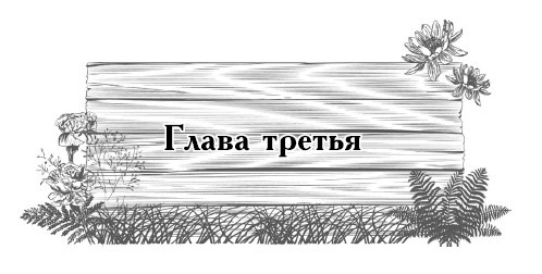 Цветник для ленивых. Цветы от последнего снега до первых морозов Цветник для ленивых. Цветы от последнего снега до первых морозов
