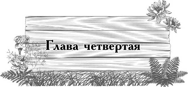 Цветник для ленивых. Цветы от последнего снега до первых морозов Цветник для ленивых. Цветы от последнего снега до первых морозов