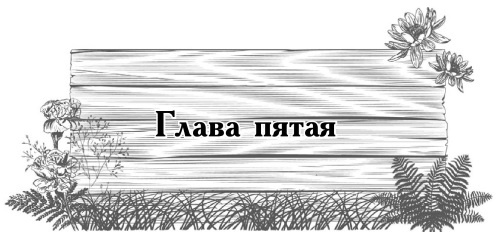 Цветник для ленивых. Цветы от последнего снега до первых морозов Цветник для ленивых. Цветы от последнего снега до первых морозов