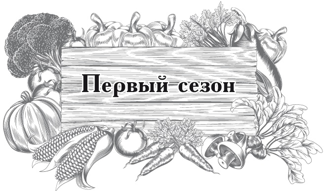 Огород по-русски. Мало сажаем, много собираем Огород по-русски. Мало сажаем, много собираем