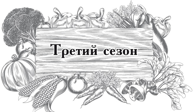 Огород по-русски. Мало сажаем, много собираем Огород по-русски. Мало сажаем, много собираем