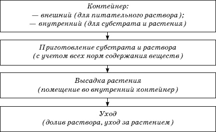 Огород у вас дома Огород у вас дома