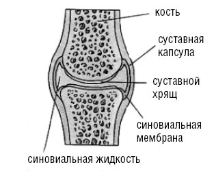 Лечимся едой. Болезни суставов и позвоночника. 200 лучших рецептов Лечимся едой. Болезни суставов и позвоночника. 200 лучших рецептов