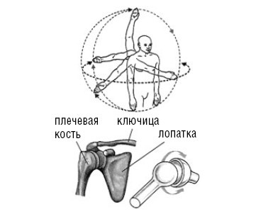 Лечимся едой. Болезни суставов и позвоночника. 200 лучших рецептов Лечимся едой. Болезни суставов и позвоночника. 200 лучших рецептов