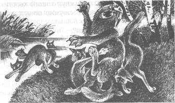 Обещание Метеора. Книга 2. Прозрение Обещание Метеора. Книга 2. Прозрение