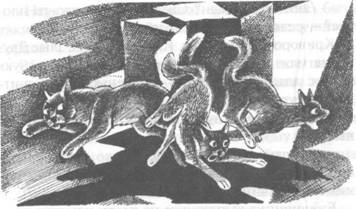 Обещание Метеора. Книга 2. Прозрение Обещание Метеора. Книга 2. Прозрение