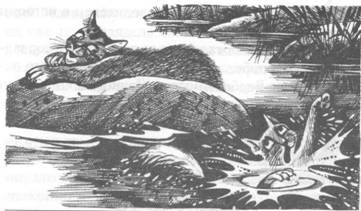Обещание Метеора. Книга 2. Прозрение Обещание Метеора. Книга 2. Прозрение