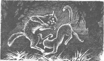 Обещание Метеора. Книга 2. Прозрение Обещание Метеора. Книга 2. Прозрение