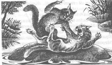 Обещание Метеора. Книга 2. Прозрение Обещание Метеора. Книга 2. Прозрение