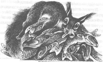 Обещание Метеора. Книга 2. Прозрение Обещание Метеора. Книга 2. Прозрение
