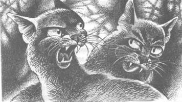 Обещание Метеора. Книга 2. Прозрение Обещание Метеора. Книга 2. Прозрение