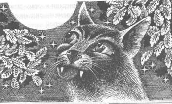 Обещание Метеора. Книга 2. Прозрение Обещание Метеора. Книга 2. Прозрение