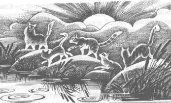 Обещание Метеора. Книга 2. Прозрение Обещание Метеора. Книга 2. Прозрение