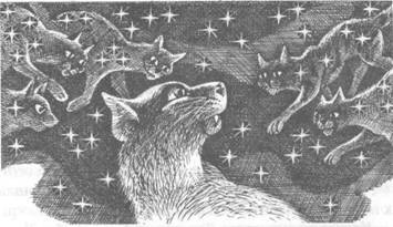Обещание Метеора. Книга 2. Прозрение Обещание Метеора. Книга 2. Прозрение