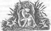 Обещание Метеора. Книга 2. Прозрение Обещание Метеора. Книга 2. Прозрение