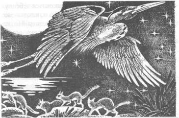 Обещание Метеора. Книга 2. Прозрение Обещание Метеора. Книга 2. Прозрение