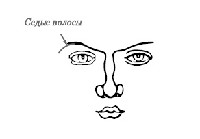 Хиромантия и нумерология. Секретные знания. Практическое руководство Хиромантия и нумерология. Секретные знания. Практическое руководство