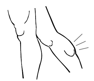 Хиромантия и нумерология. Секретные знания. Практическое руководство Хиромантия и нумерология. Секретные знания. Практическое руководство